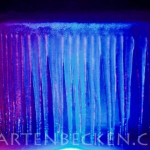 Winter 009